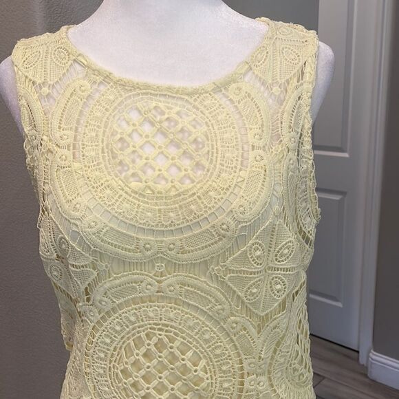 Forever 21 Mini Lace Woman’s Yellow Dress - Picture 2 of 3